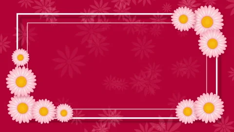 Abstract pink background with frame and white flowers Stock Footage 87446150