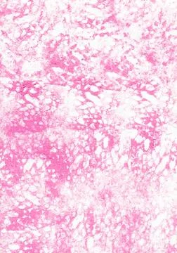 Abstract pink background. Stock Photos