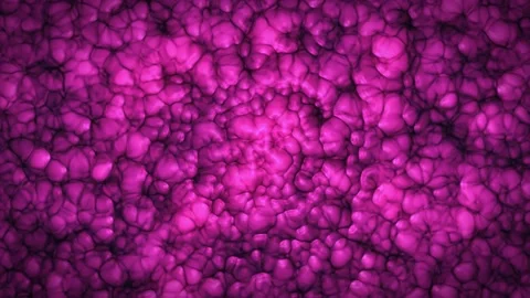 Abstract pink background volumetric bubbles Stock Footage 148739042