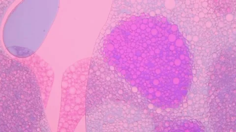 Abstract Pink Color Liquid Element Water Drops. Stock Footage 147994794