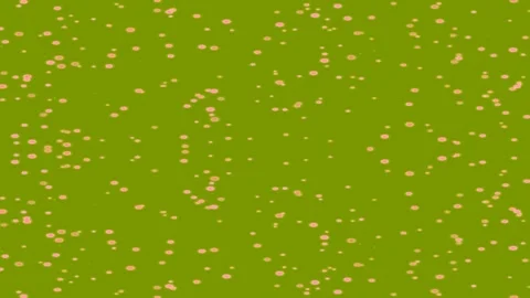 Abstract Pink Dots on Brown Background Pattern Stock Footage 331352340