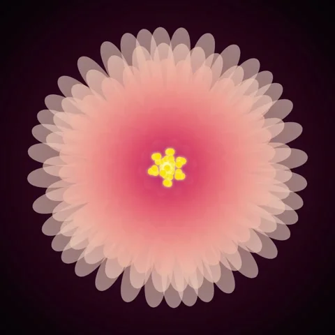 Abstract Pink Flower Bloom Animation, Digital Art, Floral Growth, Vibrant P.. Stock Footage 346282713