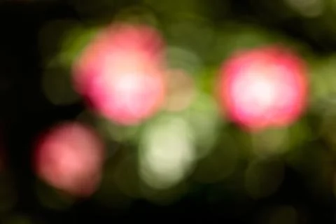 Abstract pink flower Free Stock Photos