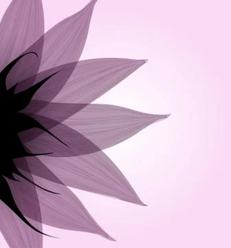 Abstract pink flower. Vector 스톡 일러스트