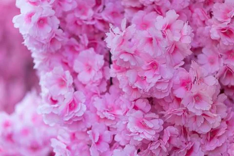 Abstract Pink Flowers Background Stock Photos