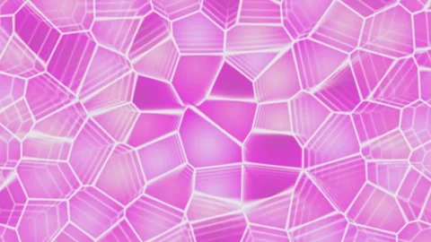 Abstract Pink Geometric Cell Pattern Motion Graphics 库存影片 341488033