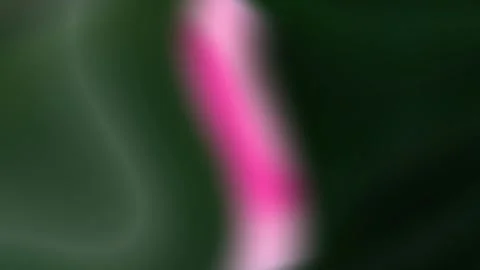 Abstract Pink Glow Gradient Waves Background Stock Footage 336893174