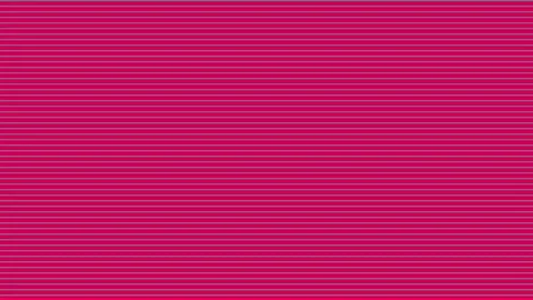 Abstract pink horizontal line shape transition video overlay with transpare.. Video stock 344053424