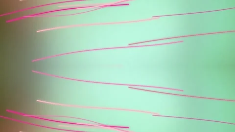 Abstract Pink Lines on Green Background. Stock Footage 329927501