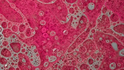Abstract pink liquid texture with bubbles. Stock Footage 314834054