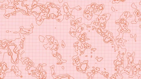 Abstract pink map topographic background, loop seamless pattern for education Stock Footage 300484174