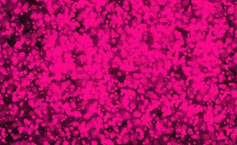 Abstract pink particles floating and glowing softly on a black background, .. Illustrazione stock