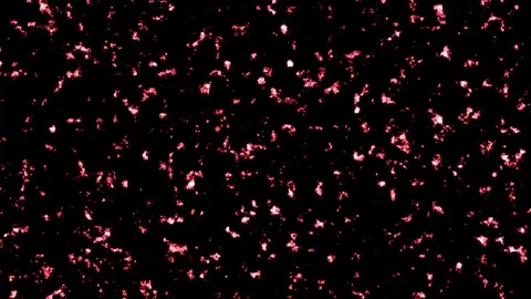 Abstract Pink Sparkles and Light Particles in Motion Video stock 342022878