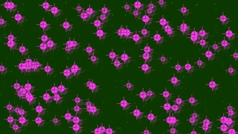 Abstract Pink Starbursts Exploding on Dark Textured Background, Festive Spa.. Video stock 332502779