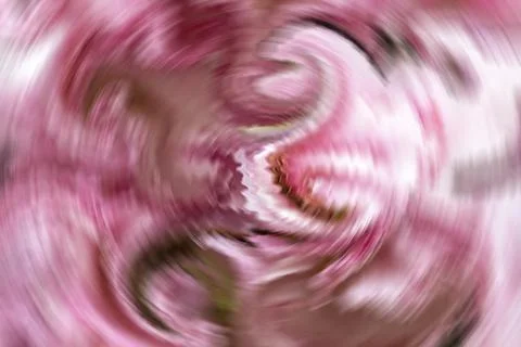 Abstract pink swirling pattern creating a vivid and artistic visual impression Illustration