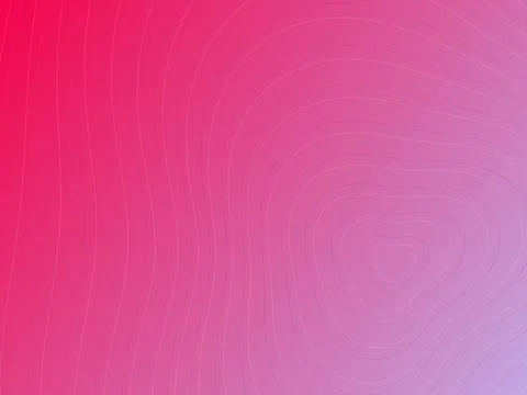 Abstract pink topographic line background with magenta gradient and organic.. 스톡 일러스트