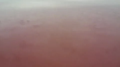 Abstract Pink Water Surface at Hutt Lagoon, Aerial View Stockbeeldmateriaal 337470137