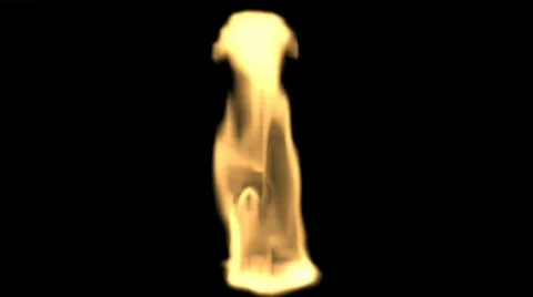 Abstract Plasma Backgrounds With Alpha Channel Video stock 450305