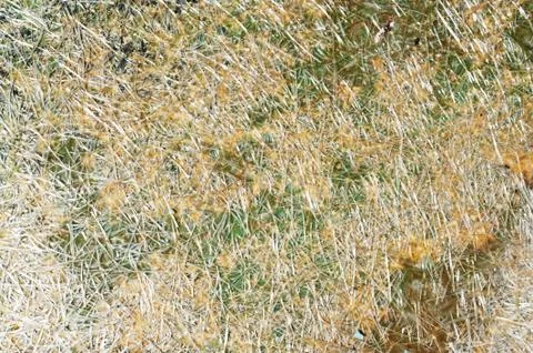 Abstract plastic background texture with sunlight Stock Photos