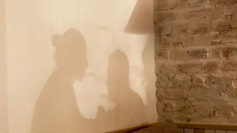 Abstract Play of Light and Shadow, Revealing the Profiles of Two Individuals in Stock Footage 319292569