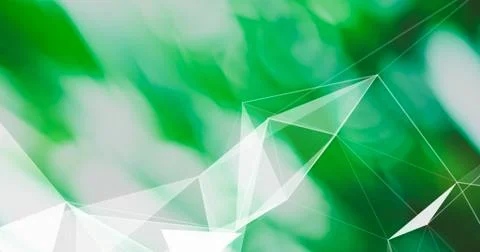 Abstract Plexus Background. Geometric poligonal texture on palm leaves blurre 스톡 사진