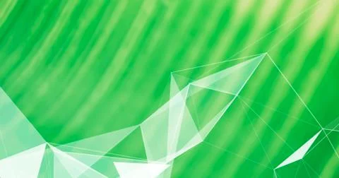 Abstract Plexus Background. Geometric poligonal texture on palm leaves blurre Stock Photos