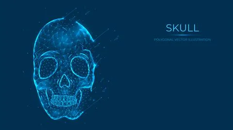 Abstract polygonal human skull made of lines and points isolated on blue back Stock Illustration