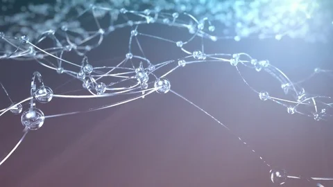 Abstract Polygonal Network Background Stock Footage 81480707