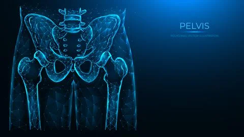 Abstract polygonal vector illustration pelvis and hip. X ray of the hip joint Stock Illustration
