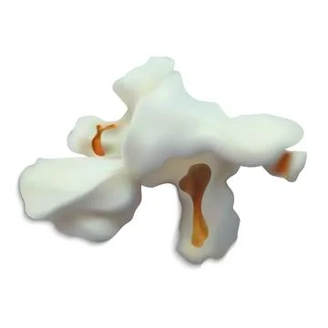 Abstract popcorn shape. Popped corn kernel, salty or sweet. Stock Illustration