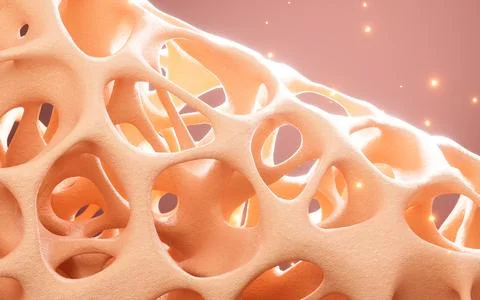 Abstract porous framework material background, nerve fibers background, bon.. 스톡 일러스트