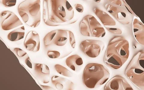 Abstract porous framework material background, nerve fibers background, bon.. 스톡 일러스트