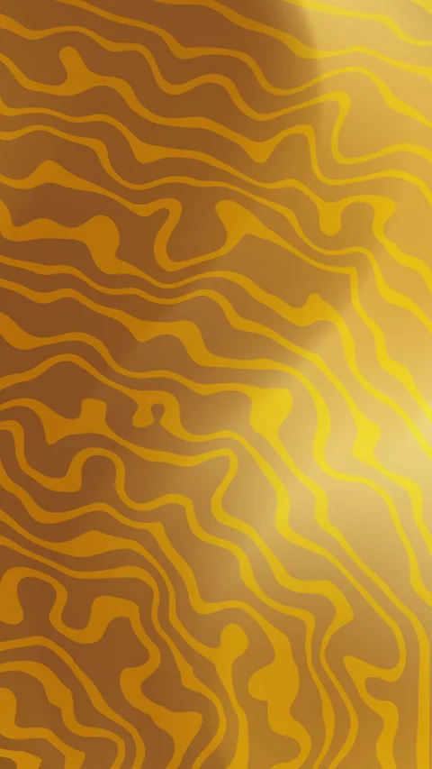 Abstract Potrait Overlay 22 Stock Footage 328566031