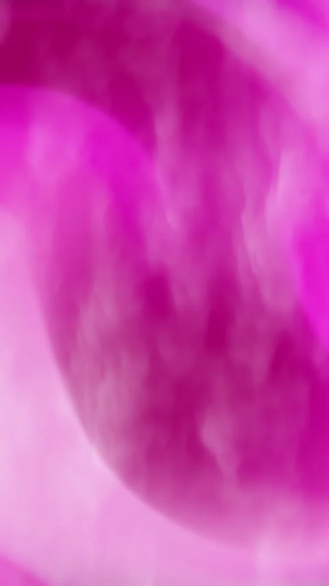 Abstract Potrait Overlay 40 Stock Footage 328566501