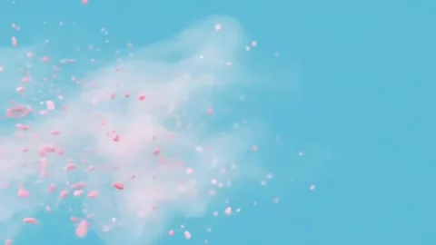 Abstract Powder Exploding with Pink and White on Light Blue Background Stock Footage 313367110