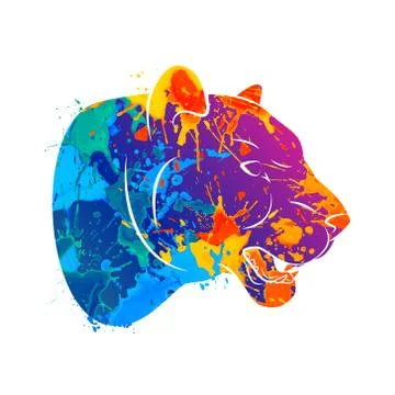 Abstract predatory cat Leopard Illustrazione stock