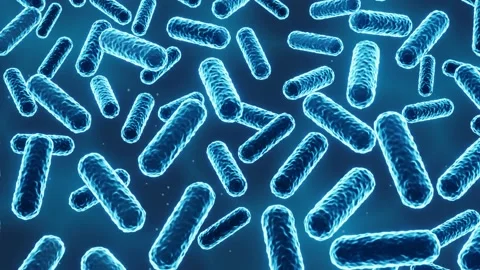 Abstract probiotics bacteria Stock Footage 151389672
