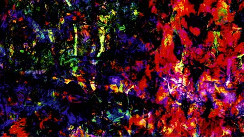 Abstract psychedelic animation - Ecstatic visuals of swirling shapes and colors Stock Footage 278211604