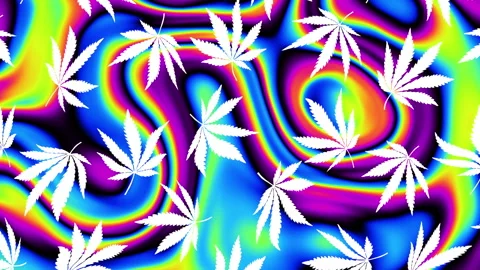 An abstract psychedelic cannabis leaves pattern motion graphic background.. 4k Stock Footage 252665265
