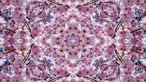  abstract psychedelic fractal background Loop Stock Footage 193203123