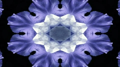  abstract psychedelic fractal background Loop Stock Footage 193592051