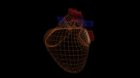 An abstract pulsating heart in gridded structure rotating over black background. Stock Footage 124664530