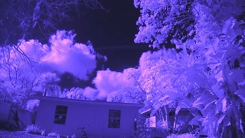 Abstract Purle Cloud Timelpase Vídeo Stock 71593944