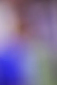 Abstract purple and blue gradient background with soft light blur effect Stock Photos