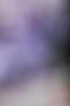 Abstract purple and grey gradient background with soft blurred light texture Stock Photos