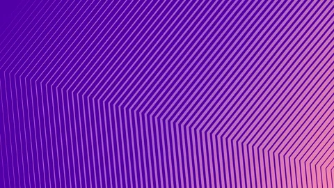 Abstract Purple and Pink Gradient Lines Background Loop. Stock Footage 320465063