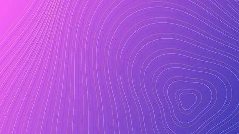 Abstract Purple and Pink Gradient Background with Elegant Topographical Con.. Stock Illustration