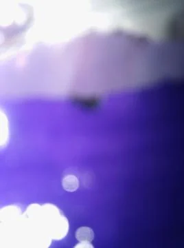 Abstract purple background with different elements in blurry effect Stock Photos