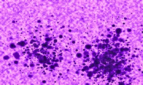 Abstract purple background with scattered dark splatter patterns ideal for .. 库存插图