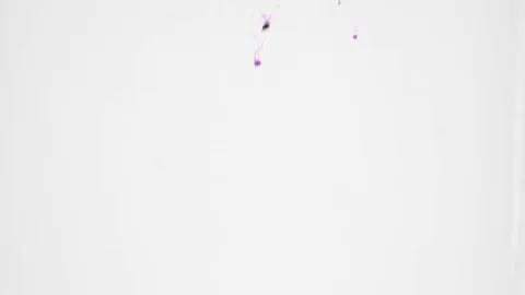 Abstract purple colours Stock Footage 84726300